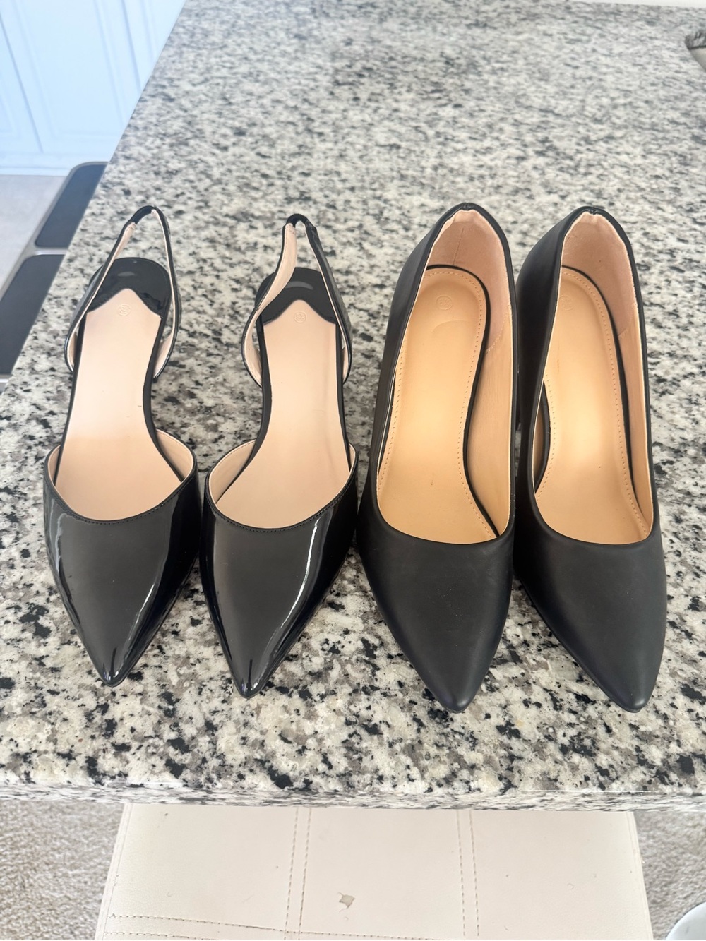 Boudle 2 Classic Black Pointed-Toe Slingback and Pump Duo